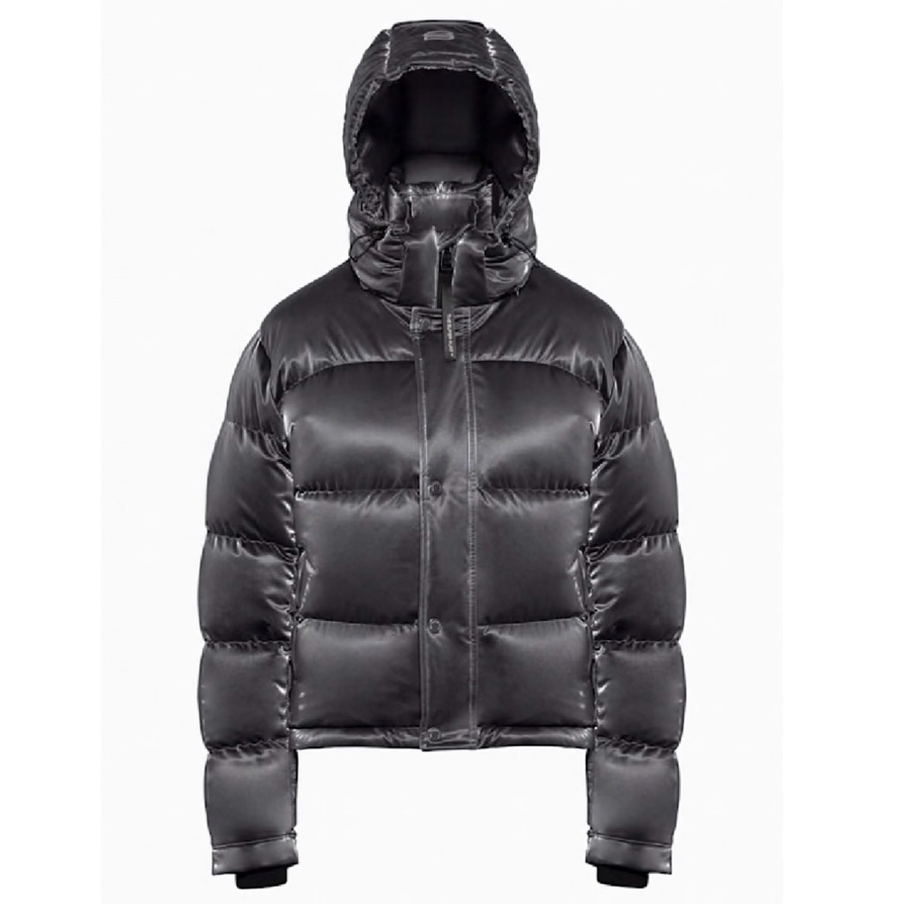 Basically new* Aritzia liquid shine Gray Puffer Jacket